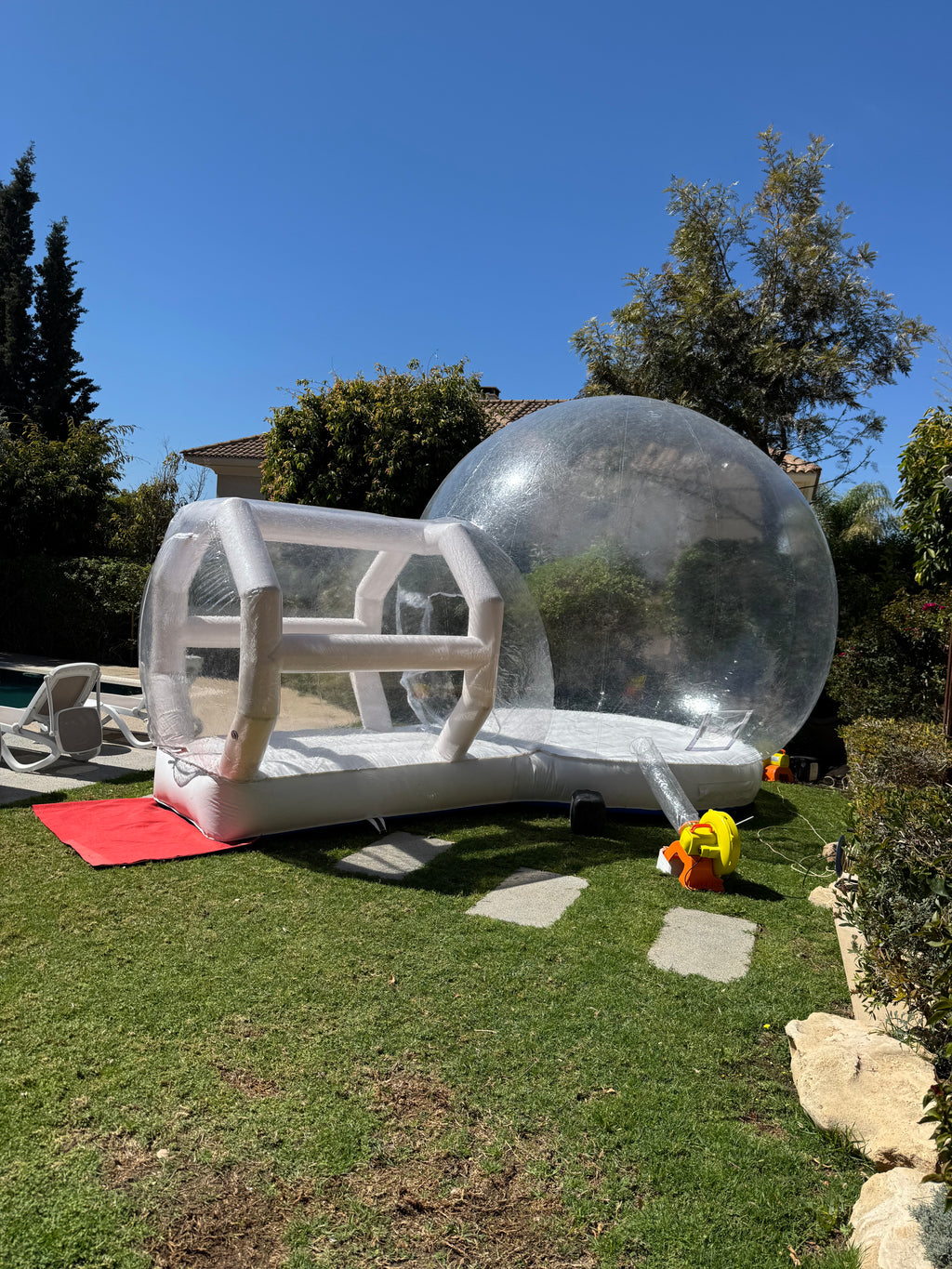 🫧 The Bubble Dome
