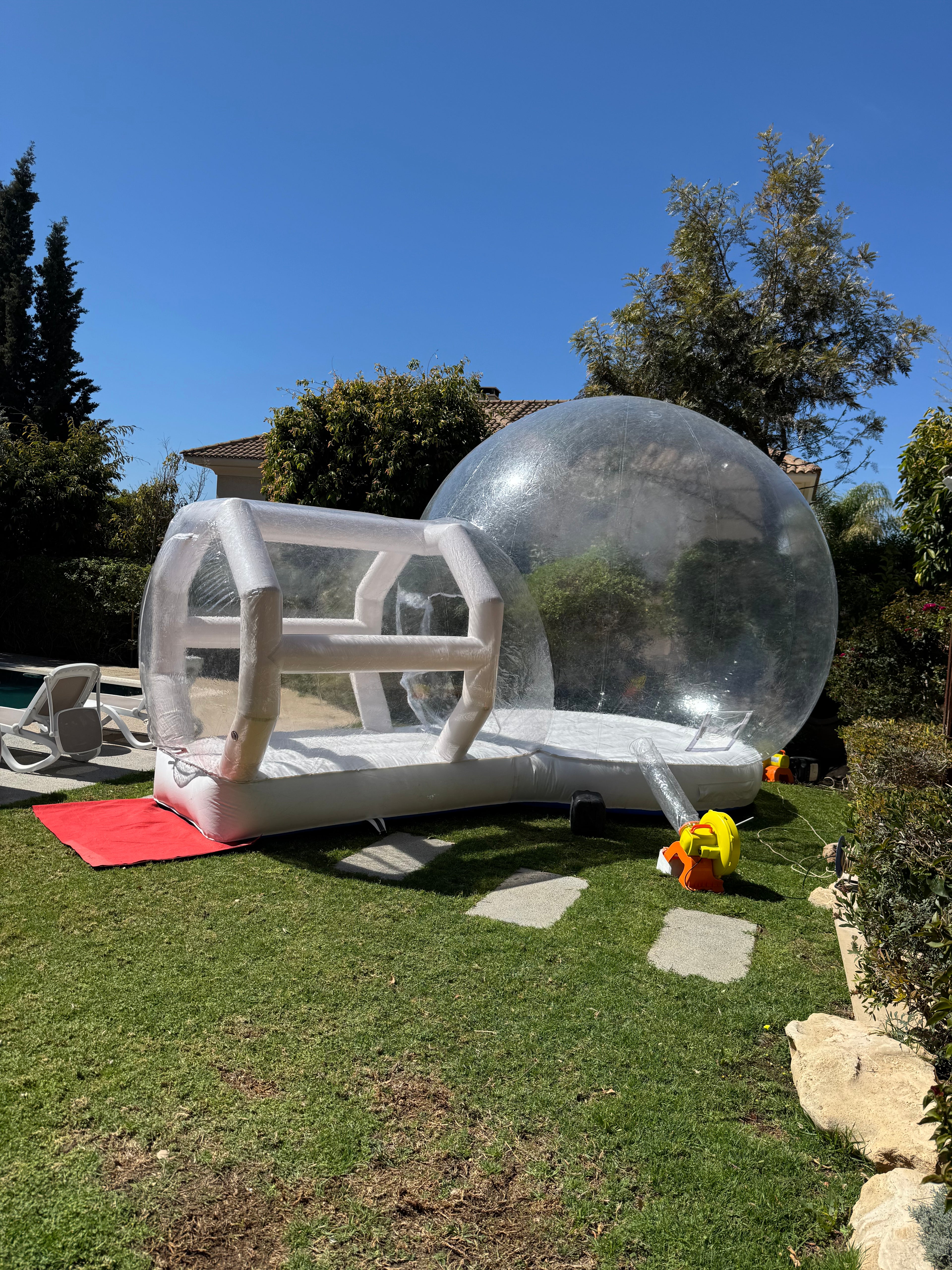 🫧 The Bubble Dome