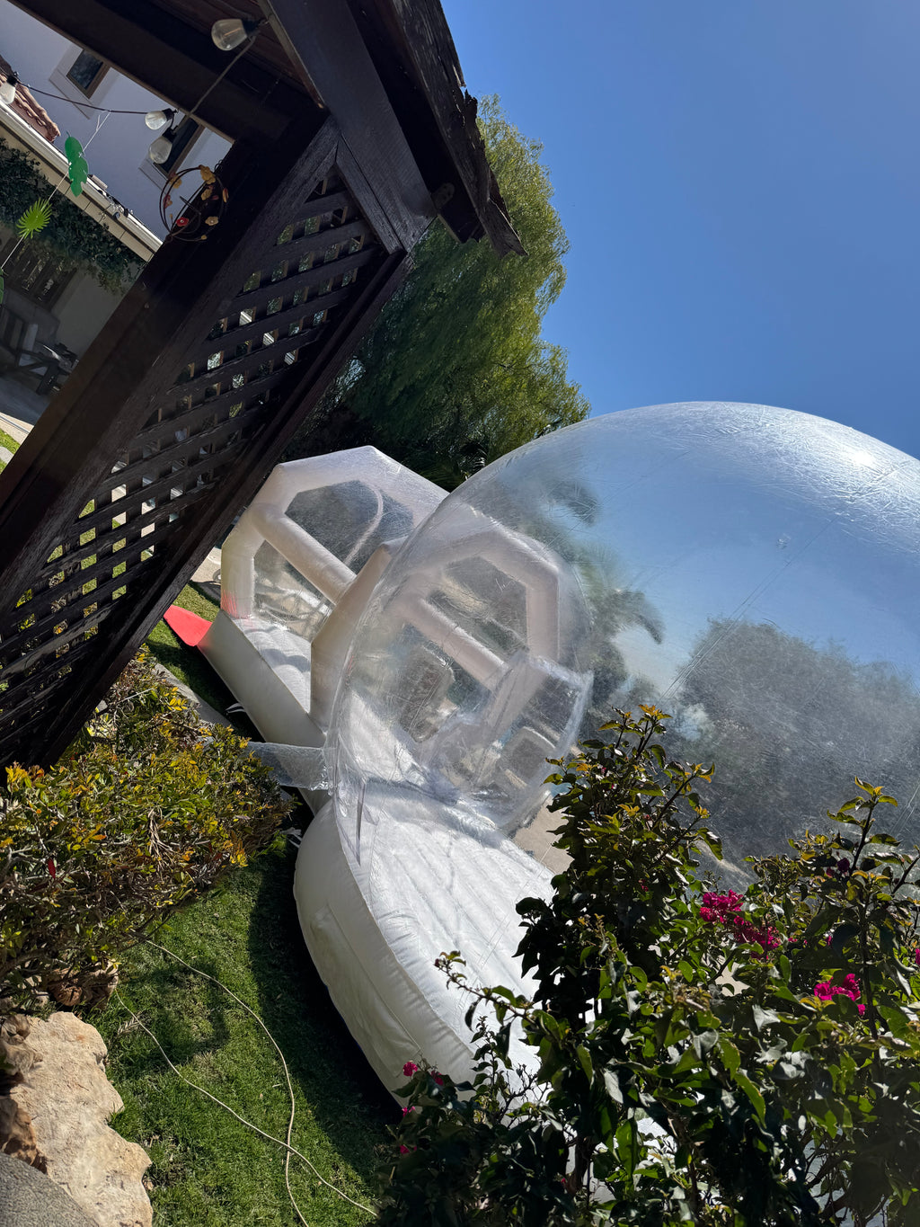 🫧 The Bubble Dome