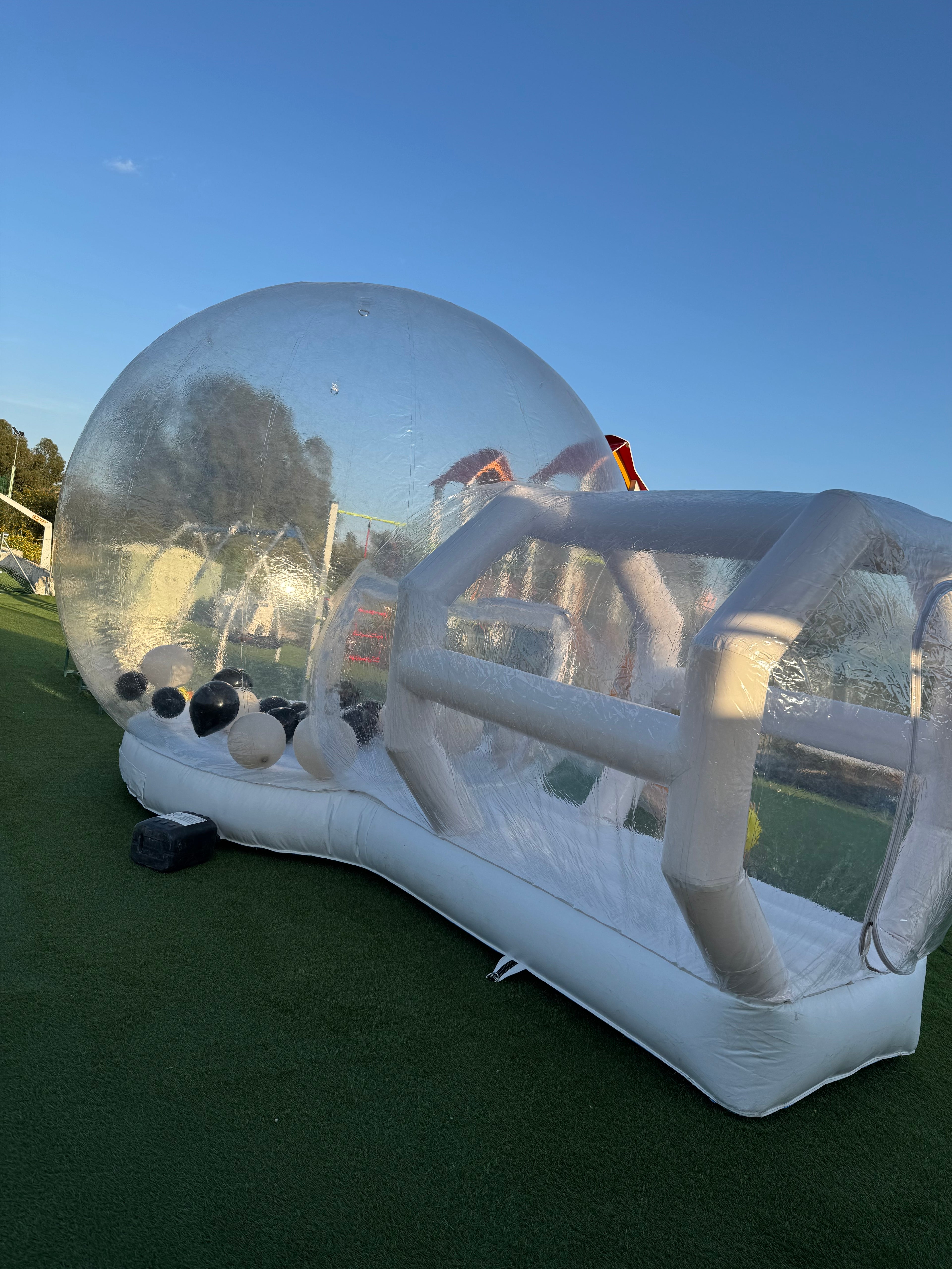 🫧 The Bubble Dome