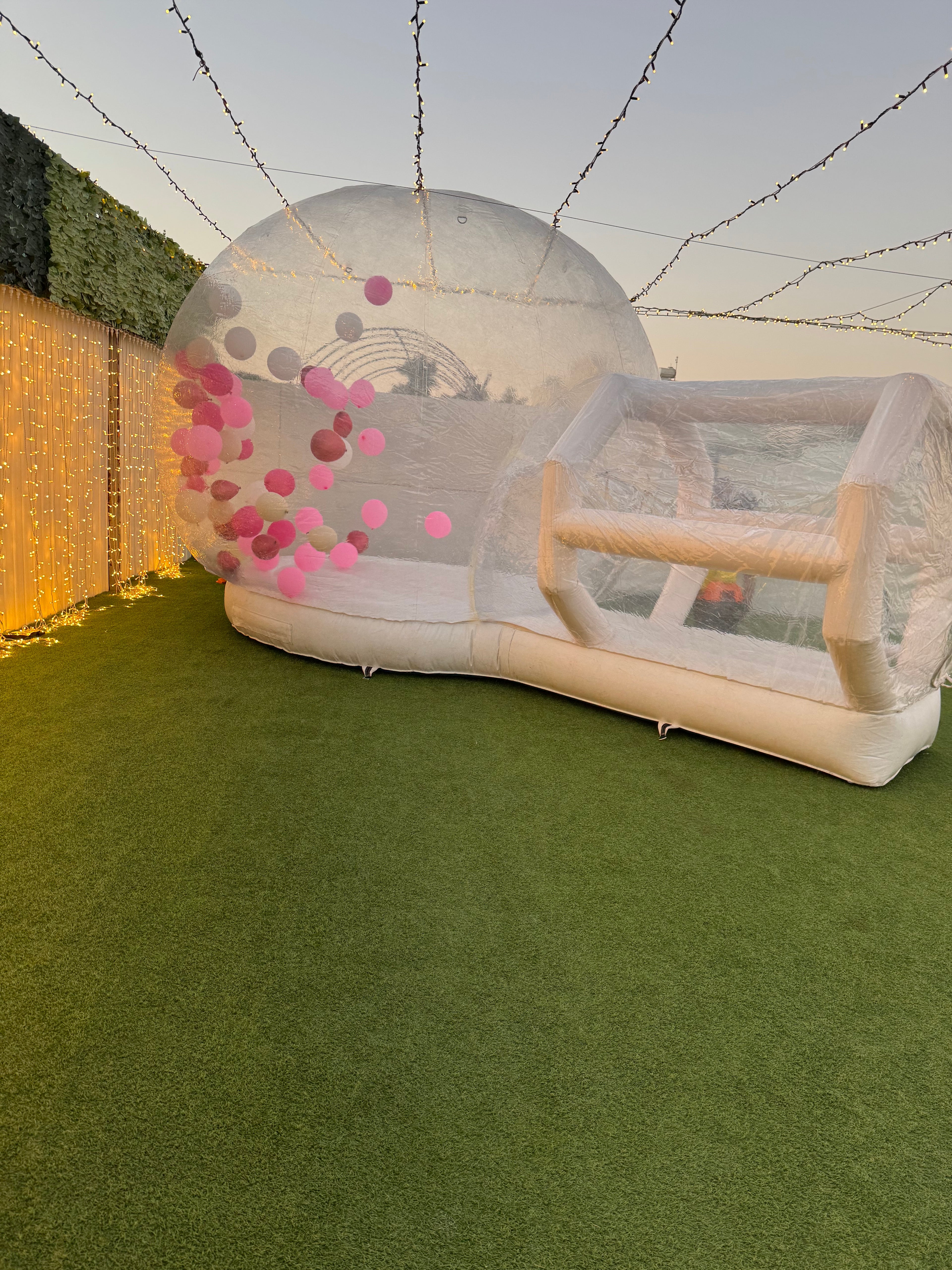 🫧 The Bubble Dome