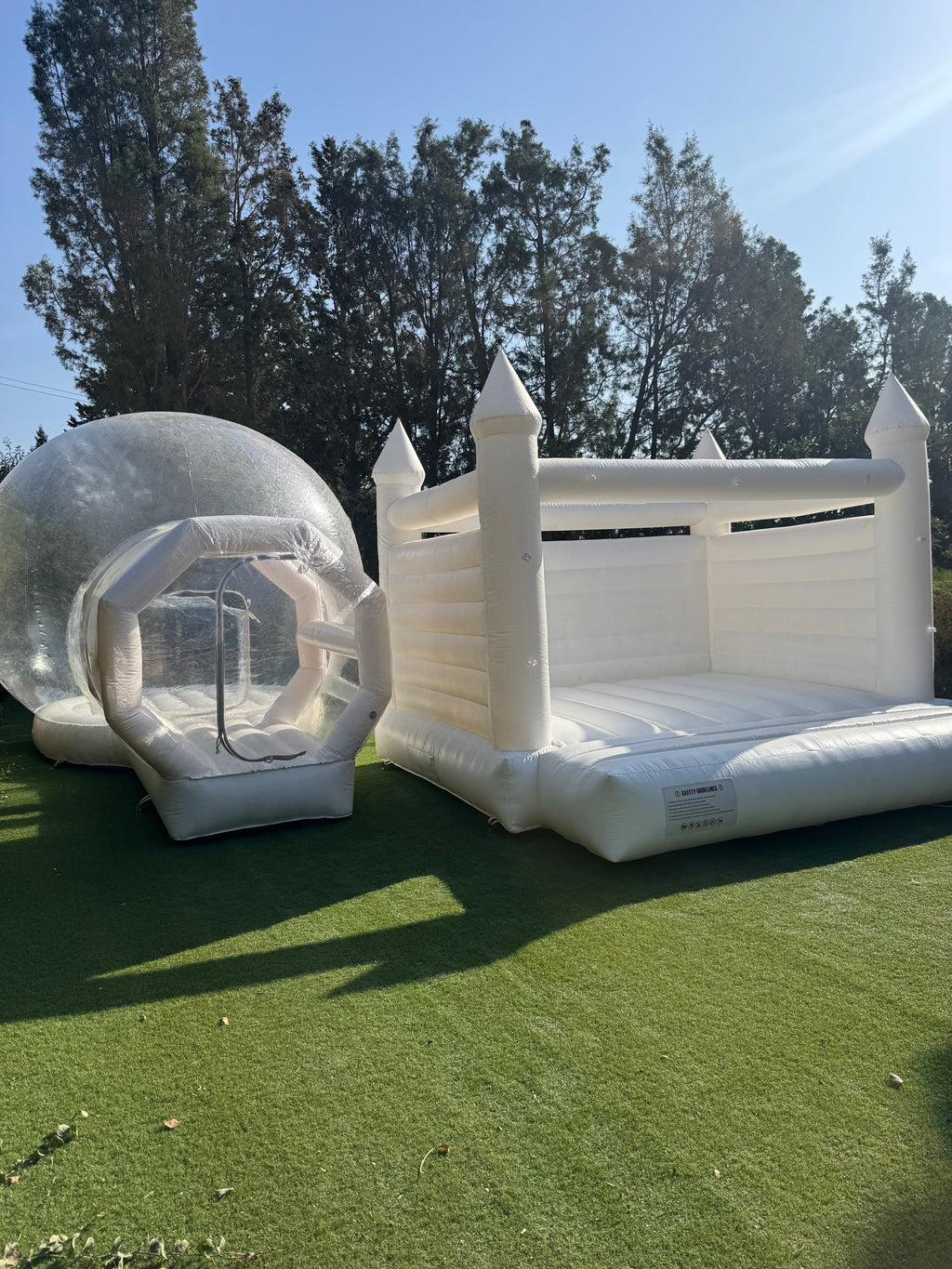 🫧 The Bubble Dome